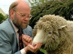 Было объявлено об успешном клонировании овечки Долли