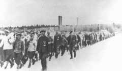 Произошло вооруженное восстание узников концлагеря Бухенвальд