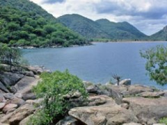 Ливингстон открыл озеро Ньяса в Африке