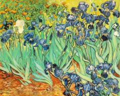 Картина Ван Гога «Ирисы» продана за рекордную сумму — 53,6 млн долларов