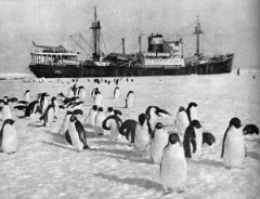 Открыта первая советская антарктическая станция